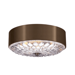Floral Inspired Transitional Ceiling Light - Lighting Collective 