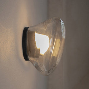 Italian Organic Glass Wall Light
